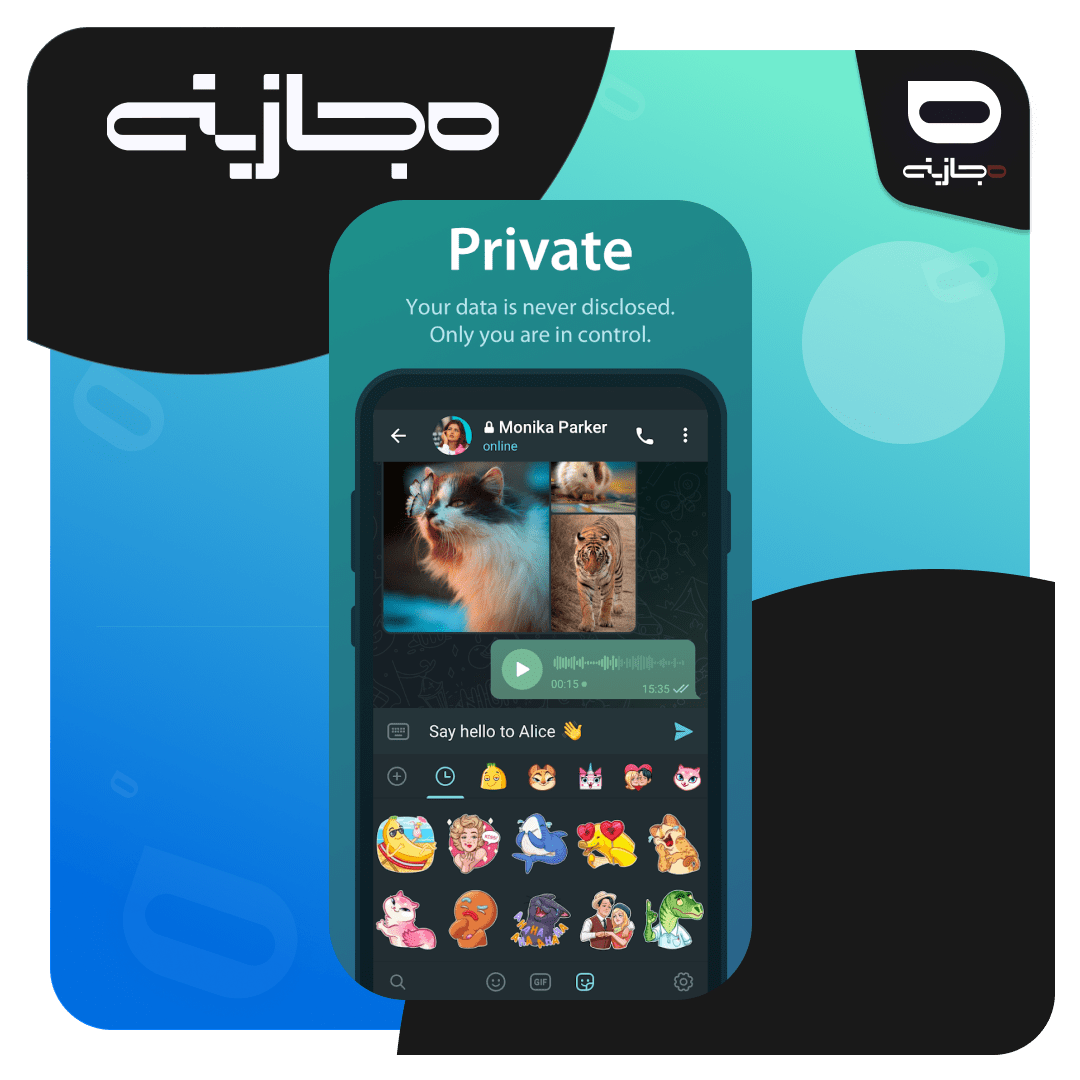 p2 (6)-min خرید تلگرام پرمیوم